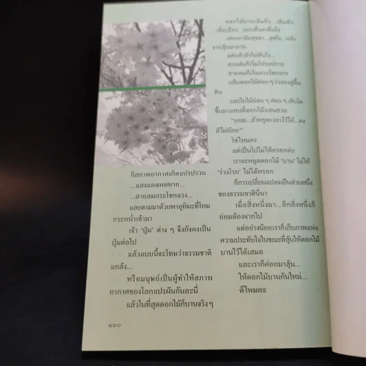 สาวิกา ปีที่ 8 ฉบับที่ 79 รูปที่ 12