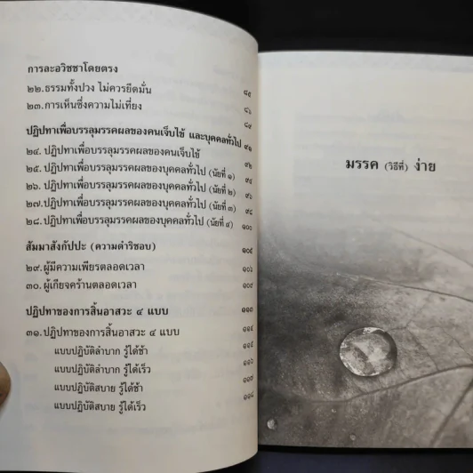 พุทธวจน มรรควิธีที่ง่าย รูปที่ 11