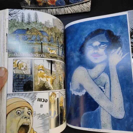 รวมเรื่องสั้นอิโต้ จุนจิ Boxset - Junji Ito รูปที่ 10
