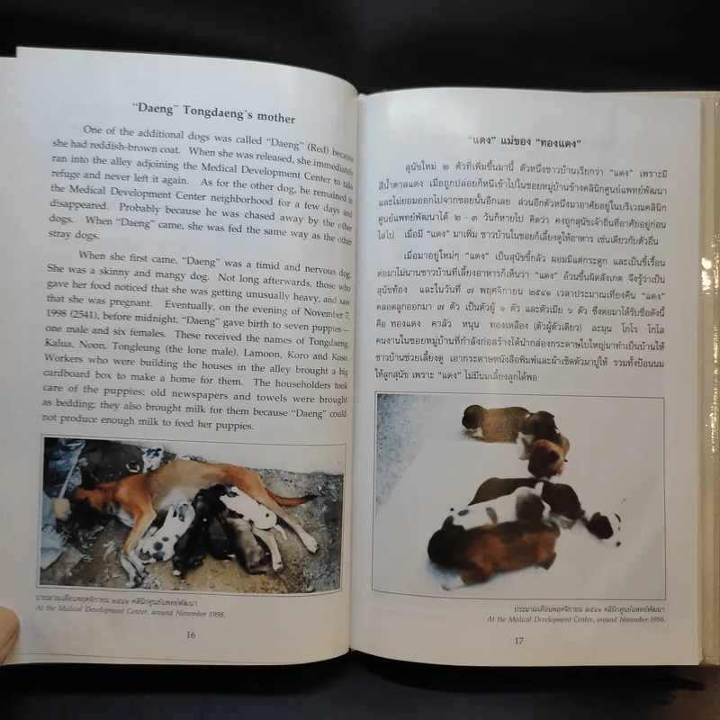 เรื่องทองแดง The Story of Tongdaeng (ปกแข็ง) รูปที่ 14