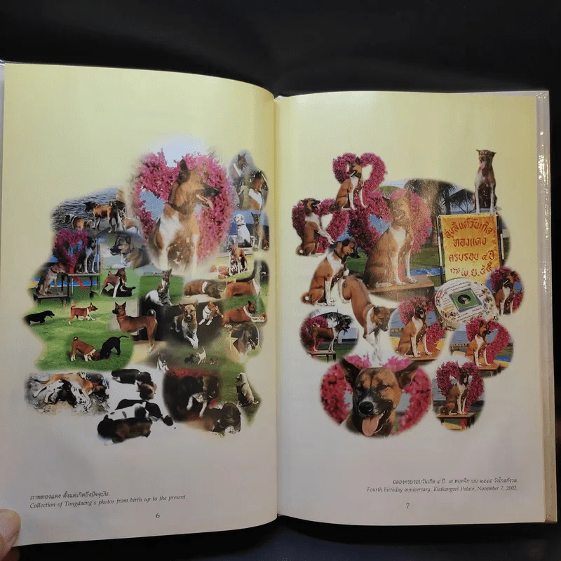 เรื่องทองแดง The Story of Tongdaeng (ปกแข็ง) รูปที่ 11