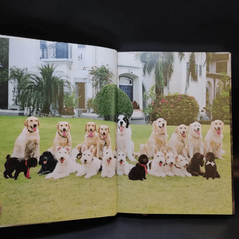 สัตว์เลี้ยงวังสระปทุม - สิรินธร รูปที่ 11