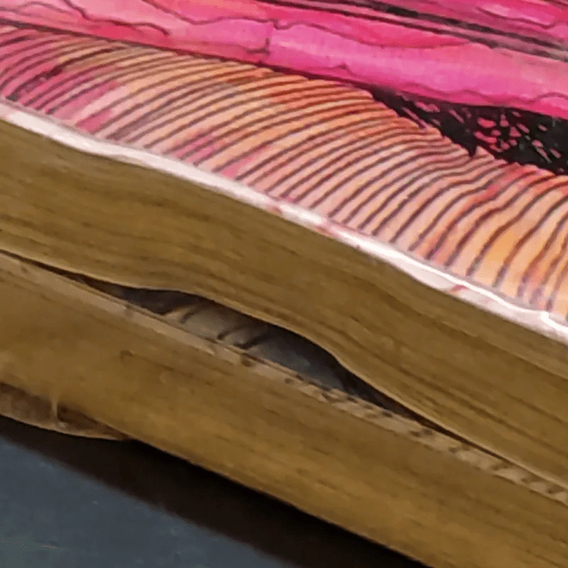 ปลามรณะ 2 เล่มจบ - Junji Ito รูปที่ 8