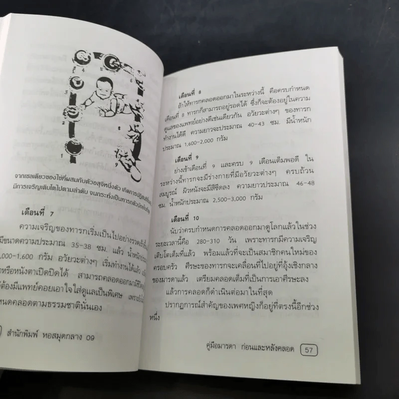 คู่มือมารดา ก่อน-หลังคลอด - ยุวดี จอมพิทักษ์ และคณะ รูปที่ 14
