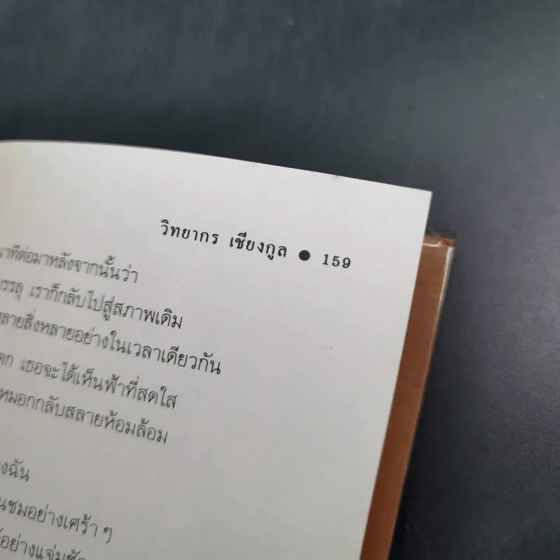 ฉันจึงมาหาความหมาย - วิทยากร เชียงกูล รูปที่ 16