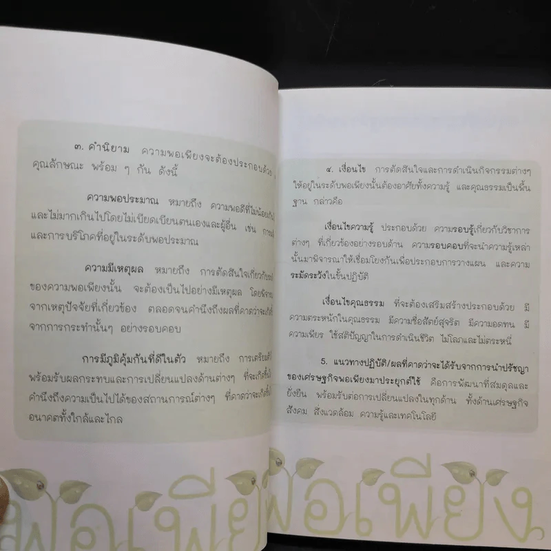 พอเพียง 5 ธ.ค.2541 รูปที่ 11