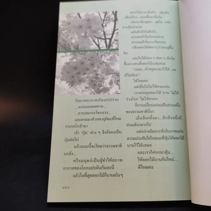สาวิกา ปีที่ 8 ฉบับที่ 79 รูปที่ 12