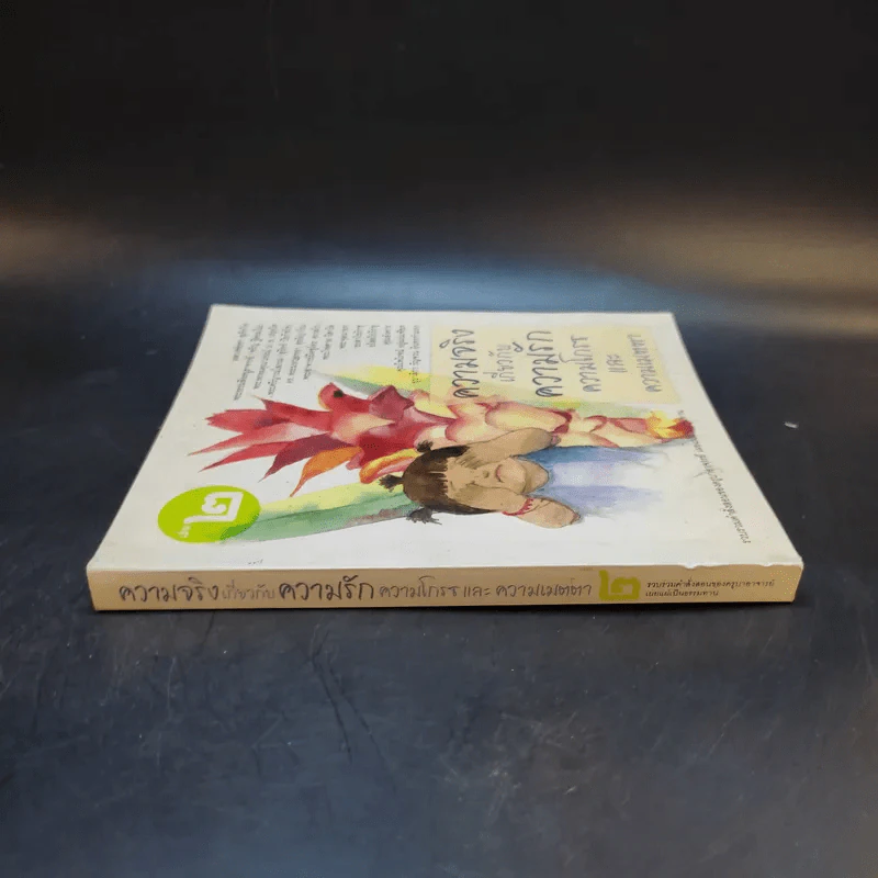 ความจริงเกี่ยวกับความรัก ความโกรธและความเมตตา เล่ม 2 รูปที่ 2