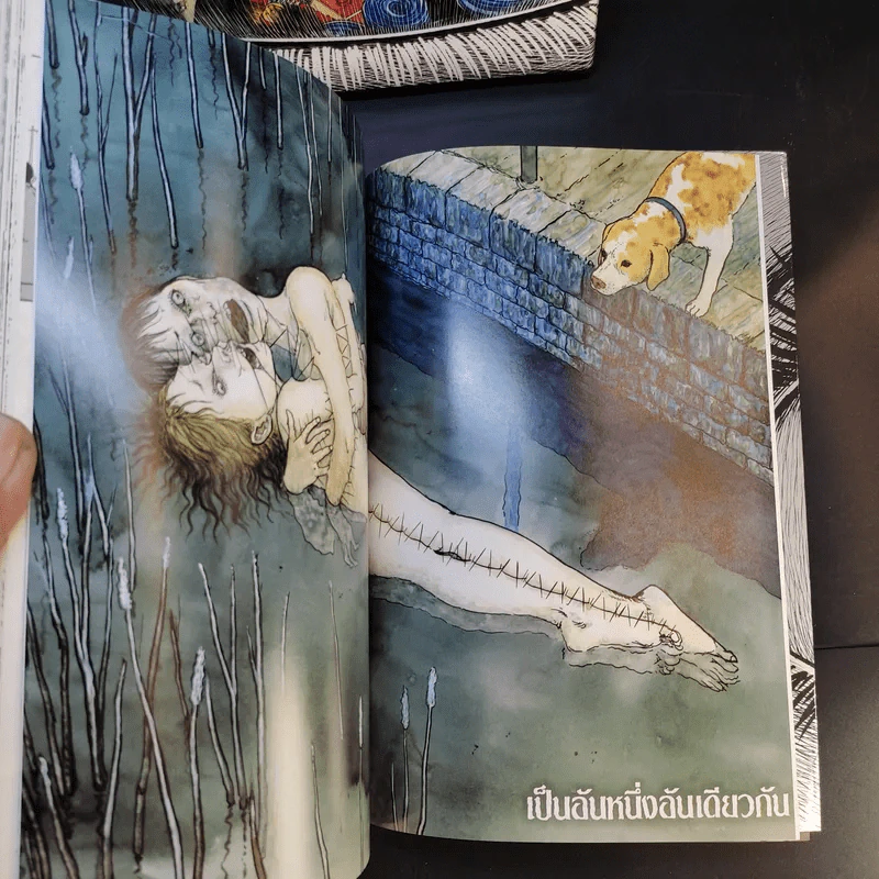 รวมเรื่องสั้นอิโต้ จุนจิ Boxset - Junji Ito รูปที่ 11
