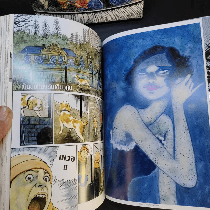 รวมเรื่องสั้นอิโต้ จุนจิ Boxset - Junji Ito รูปที่ 10