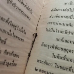พระเจ้าสิบชาติ - พยัคฆ์ รูปที่ 13