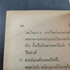 สารพัดอาชีพ ทำของกินและของใช้ - ลำจวน มงคลรัตน์ รูปที่ 16