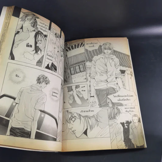 หนังสือการ์ตูน เจ้าหญิงจอมจุ้นกับรักวุ่นๆในวัง เล่ม 1-16 รูปที่ 10