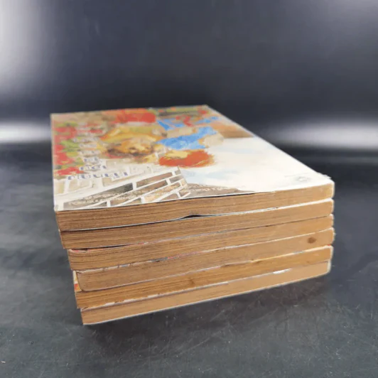 หนังสือการ์ตูน เจ้าหญิงจอมจุ้นกับรักวุ่นๆในวัง เล่ม 1-6 รูปที่ 5