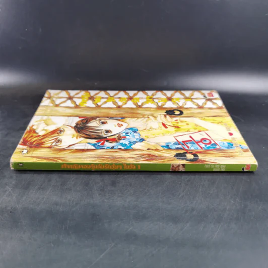 หนังสือการ์ตูน เจ้าหญิงจอมจุ้นกับรักวุ่นๆในวัง เล่ม 1 รูปที่ 3