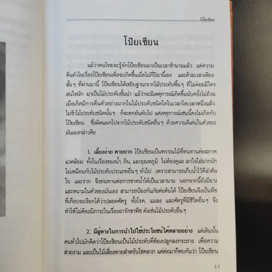 คู่มือการปลูกเลี้ยง โป๊ยเซียน - ประเสริฐ ศิริบุญเรือง รูปที่ 11