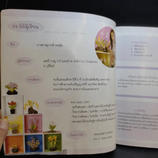ดอกไม้ดินญี่ปุ่น - สุภาวดี เทพคุ้ม รูปที่ 10
