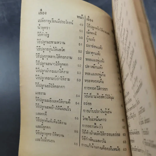สารพัดอาชีพ ทำของกินและของใช้ - ลำจวน มงคลรัตน์ รูปที่ 10
