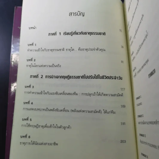 กลยุทธ์อ่านใจคน จากพลังธาตุทั้งสี่ - Laurie Beth Jones รูปที่ 14