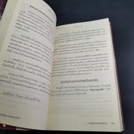 กลยุทธ์อ่านใจคน จากพลังธาตุทั้งสี่ - Laurie Beth Jones รูปที่ 17