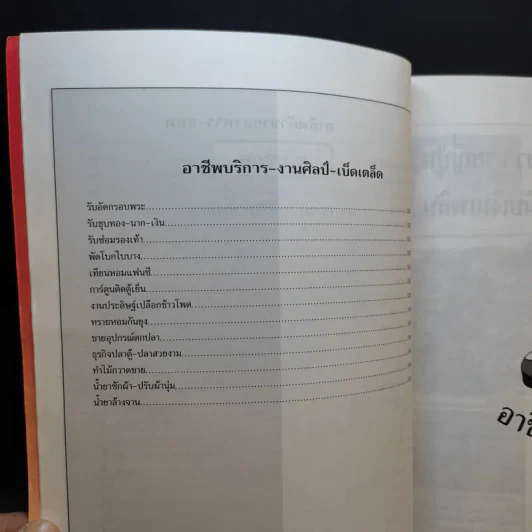 ช่องทางทำกิน เล่ม 2 70 อาชีพจากคอลัมน์ทำเงินรับศตวรรษใหม่ รูปที่ 10