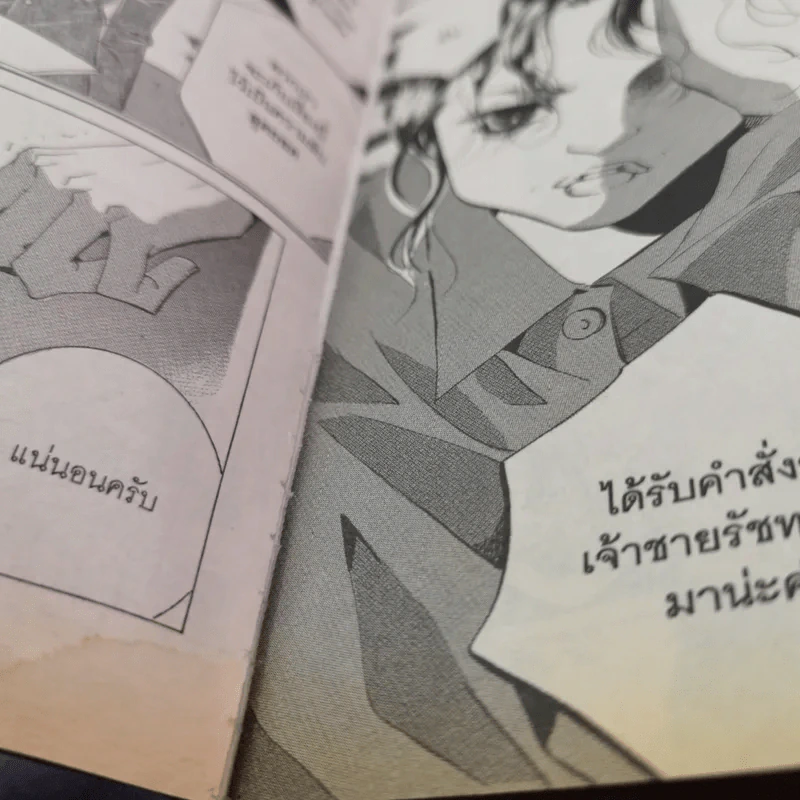หนังสือการ์ตูน เจ้าหญิงจอมจุ้นกับรักวุ่นๆในวัง เล่ม 1-16,18,19,26,27 (รวม 20 เล่ม) รูปที่ 17