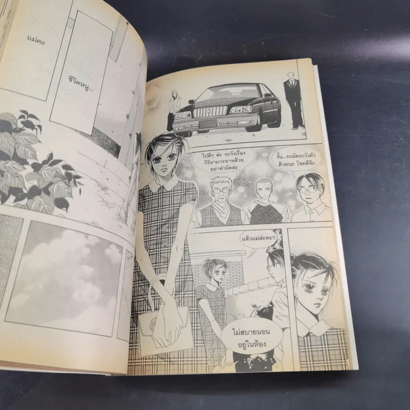 หนังสือการ์ตูน เจ้าหญิงจอมจุ้นกับรักวุ่นๆในวัง เล่ม 1-16 รูปที่ 11