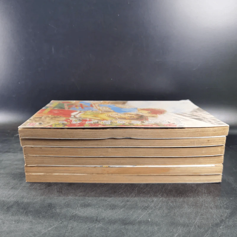 หนังสือการ์ตูน เจ้าหญิงจอมจุ้นกับรักวุ่นๆในวัง เล่ม 1-6 รูปที่ 4