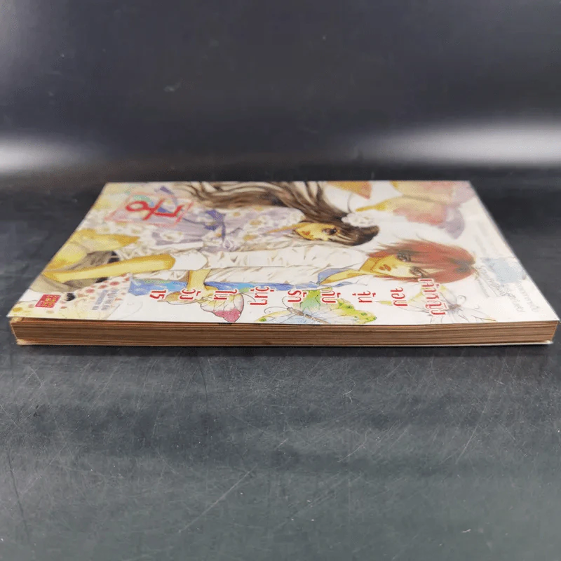หนังสือการ์ตูน เจ้าหญิงจอมจุ้นกับรักวุ่นๆในวัง เล่ม 15 รูปที่ 5