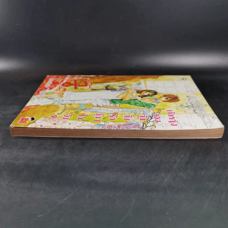 หนังสือการ์ตูน เจ้าหญิงจอมจุ้นกับรักวุ่นๆในวัง เล่ม 9 รูปที่ 6