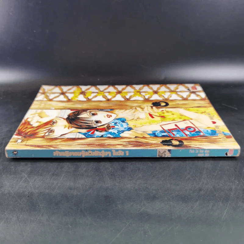 หนังสือการ์ตูน เจ้าหญิงจอมจุ้นกับรักวุ่นๆในวัง เล่ม 1 รูปที่ 4