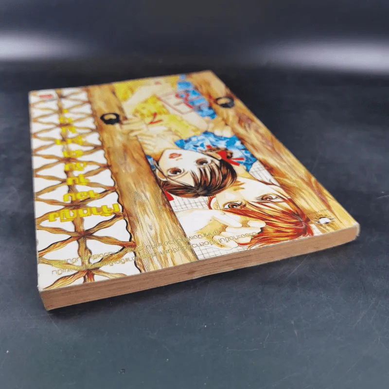 หนังสือการ์ตูน เจ้าหญิงจอมจุ้นกับรักวุ่นๆในวัง เล่ม 1 รูปที่ 6