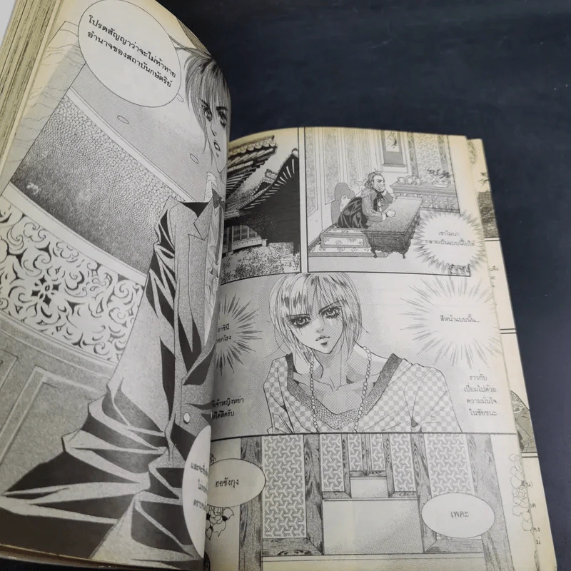 หนังสือการ์ตูน เจ้าหญิงจอมจุ้นกับรักวุ่นๆในวัง เล่ม 13 รูปที่ 11