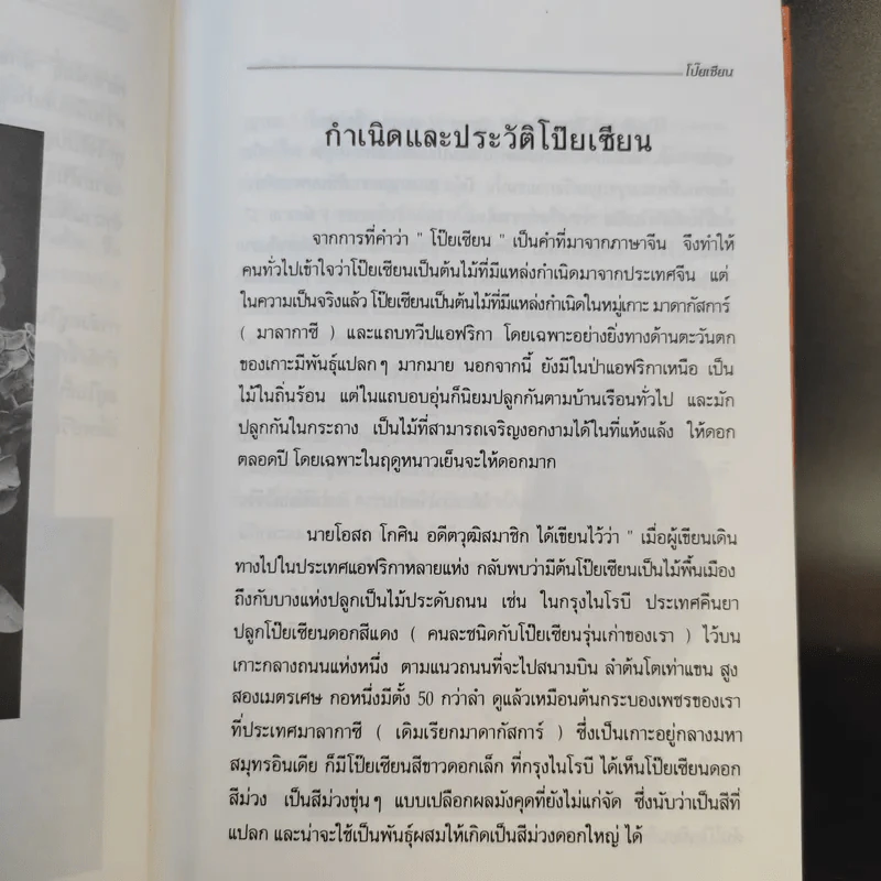 คู่มือการปลูกเลี้ยง โป๊ยเซียน - ประเสริฐ ศิริบุญเรือง รูปที่ 12