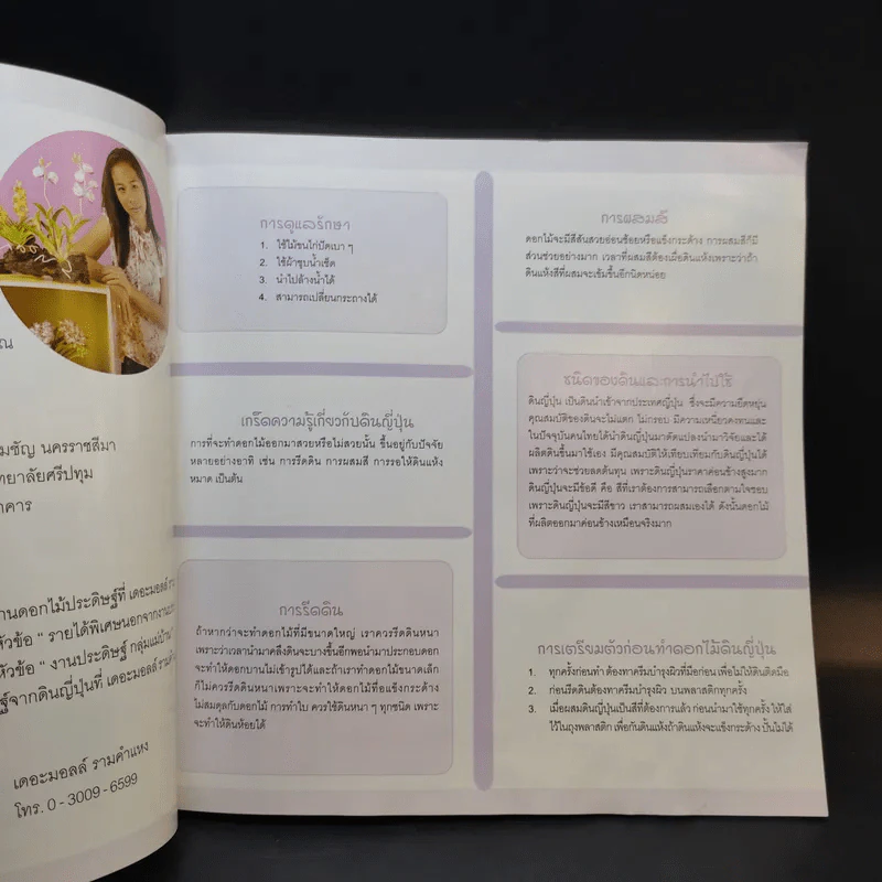 ดอกไม้ดินญี่ปุ่น - สุภาวดี เทพคุ้ม รูปที่ 11