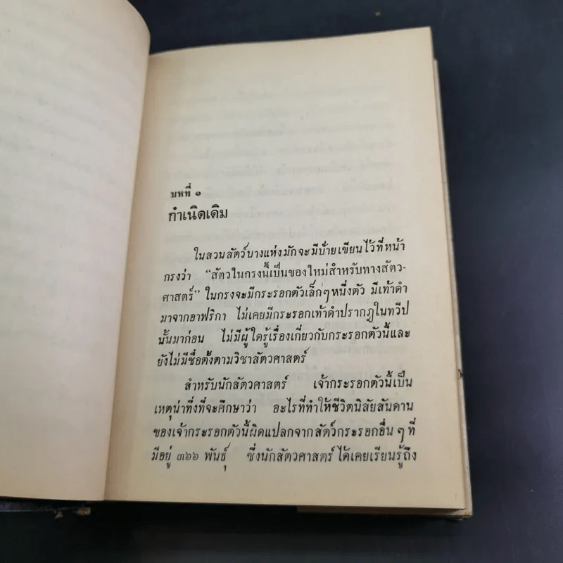 ลิงเปลือย - ดร.มยูร วิเศษกุล รูปที่ 14