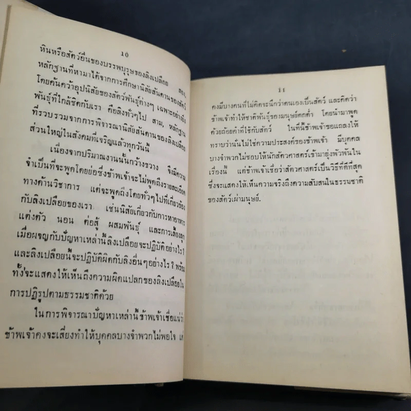 ลิงเปลือย - ดร.มยูร วิเศษกุล รูปที่ 13