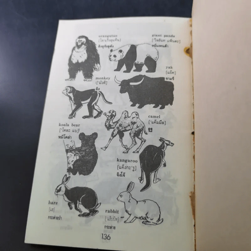 ศัพท์หมวดอังกฤษ-ไทย Picture Dictionary รูปที่ 10