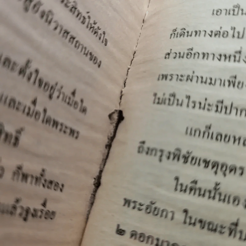 พระเจ้าสิบชาติ - พยัคฆ์ รูปที่ 13