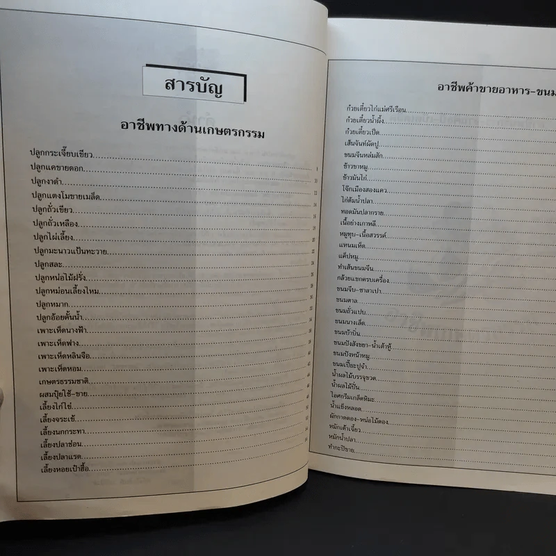 ช่องทางทำกิน เล่ม 2 70 อาชีพจากคอลัมน์ทำเงินรับศตวรรษใหม่ รูปที่ 9