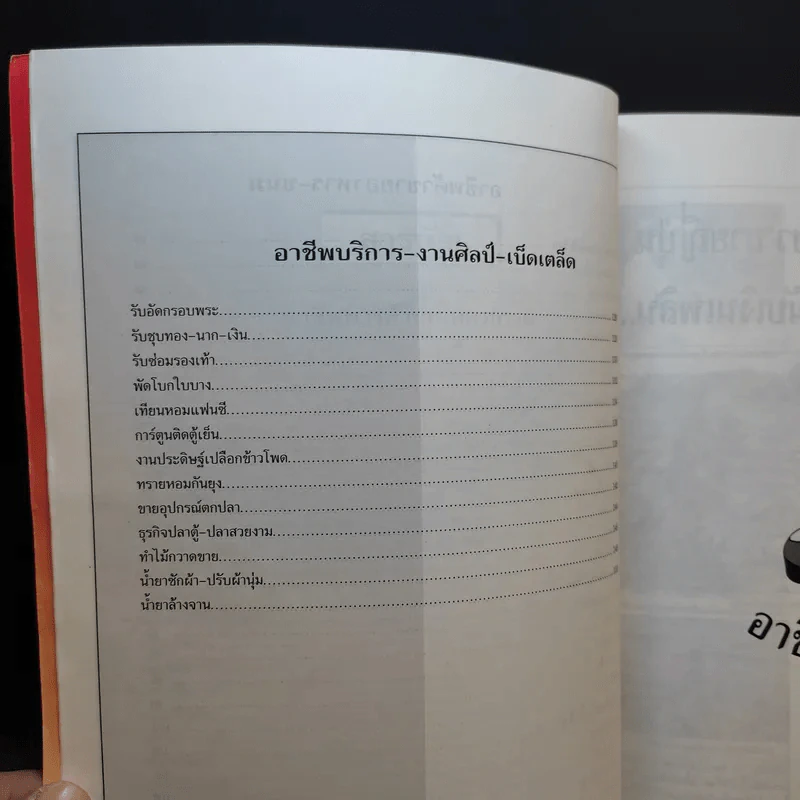 ช่องทางทำกิน เล่ม 2 70 อาชีพจากคอลัมน์ทำเงินรับศตวรรษใหม่ รูปที่ 10