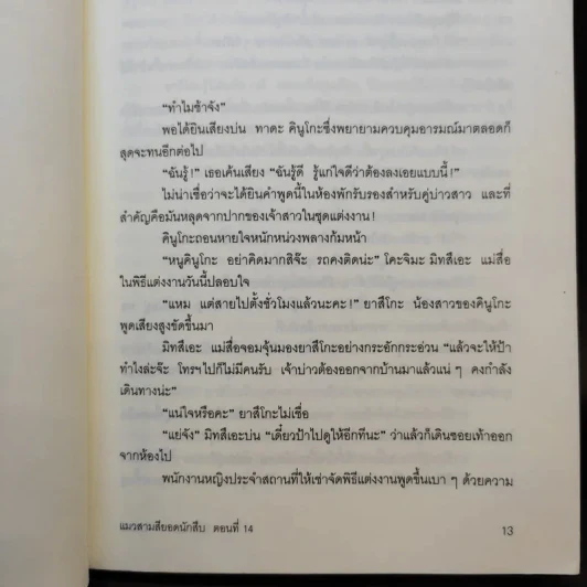 มิเกะเนะโกะ โฮล์มส์ : แมวสามสียอดนักสืบ ตอนแค้นนี้ต้องฆ่า ตอนที่ 14 รูปที่ 13
