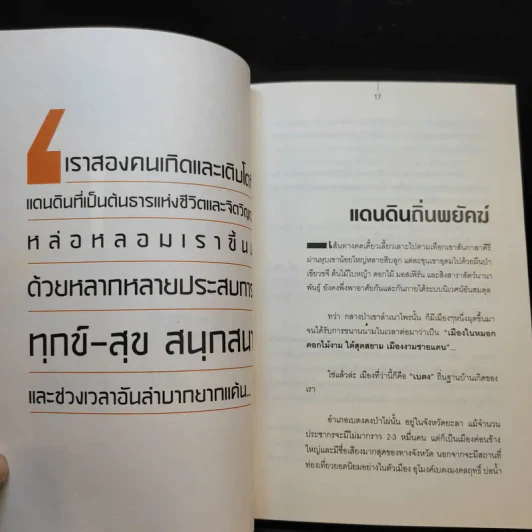 สองพยัคฆ์นักสู้ผู้พิชิต รูปที่ 12