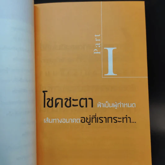 สองพยัคฆ์นักสู้ผู้พิชิต รูปที่ 11