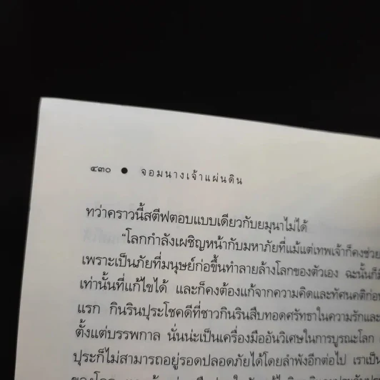จอมนางเจ้าแผ่นดิน - อุมารตี รูปที่ 11