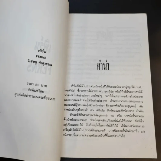 เฟิร์น - วิเชษฐ ค้าสุวรรณ รูปที่ 9