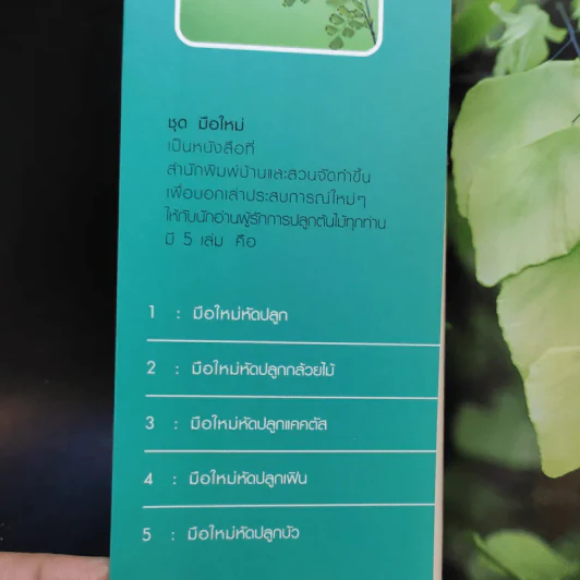 มือใหม่หัดปลูกเฟิน Easy Fern - อุไร จิรมงคลการ รูปที่ 8