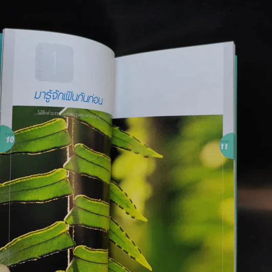มือใหม่หัดปลูกเฟิน Easy Fern - อุไร จิรมงคลการ รูปที่ 12