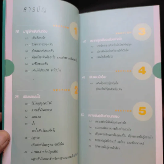 มือใหม่หัดปลูกเฟิน Easy Fern - อุไร จิรมงคลการ รูปที่ 10