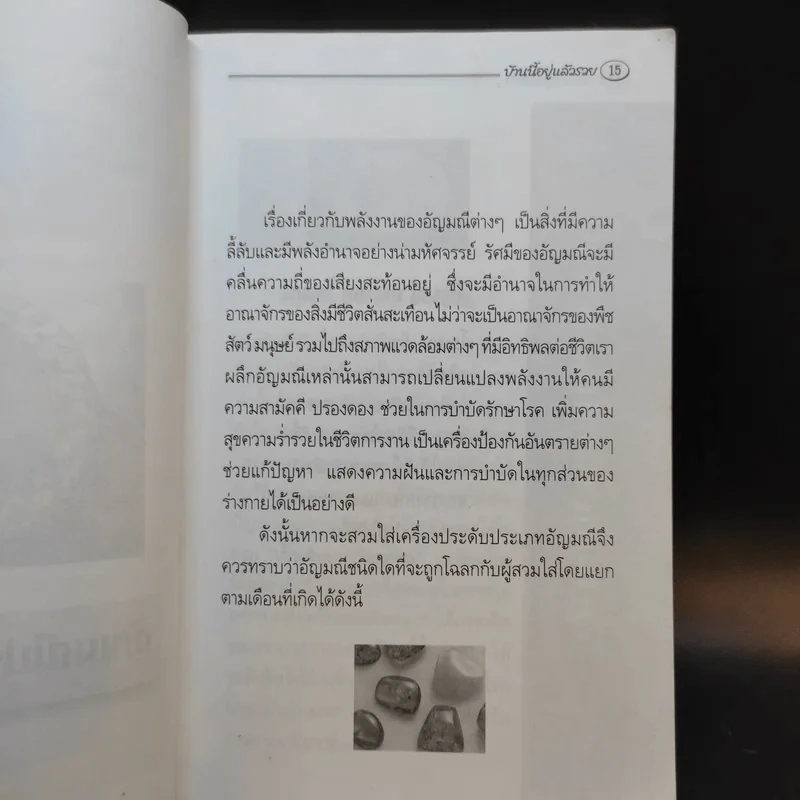 บ้านนี้อยู่แล้วรวย คัมภีร์มงคลแห่งชีวิต - อ.ธรณินทร์ ธเนศวร รูปที่ 14